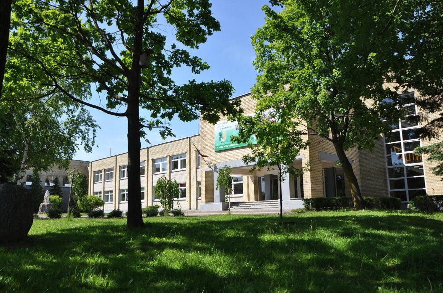Kauno Rokų gimnazija
